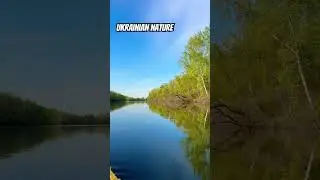#shorts #short #shortvideo #українськийютуб #українськийконтент #nature