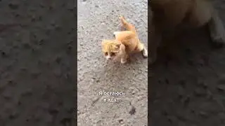 Я остаюсь в АДУ💔Меня не заберут в фонд…