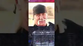Was Hulk Hogan Right About Edge?