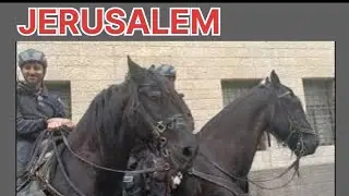 JERUSALEM CITY HALL