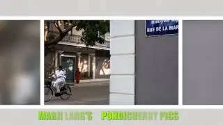 Pondicherry Pics by Marji Lang