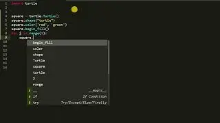 Черепашья графика с помощью Turtle на Python