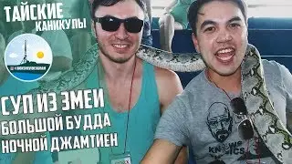 Кокшевидеограм - Тайские каникулы #3