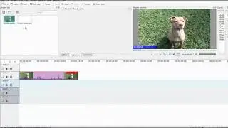 Kdenlive How To Reverse Video Version 17 04 03