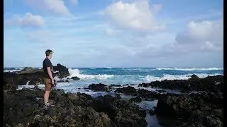 Hawaiian Expedition