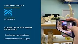 Виртуальная экскурсия по кафедре биологии и водных биоресурсов МГТУ