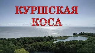 Куршская коса