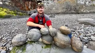 2 Day Fossil Hunting - These HUGE Unopened Rocks Contained Rare Fossils! 