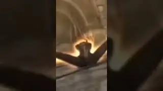 Конга Конга Конга 
