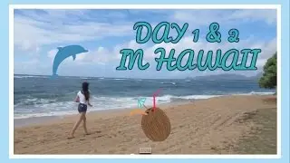 Ep. 19 | HAWAIIAN PARADISE