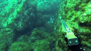 Spearfishing Malta 2014 - February to March highlights