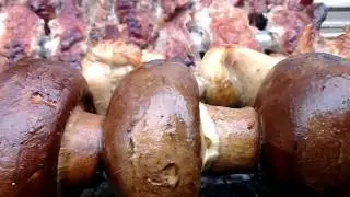 ☑️ Жаренный шашлык с грибами и картошкой на мангале.