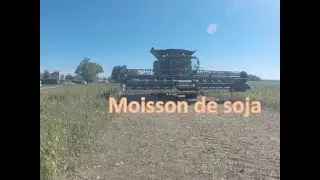 Moisson de soja Bio 2022
