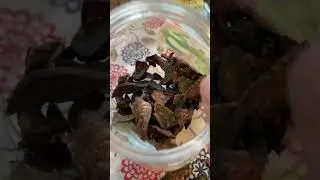 Натуральные чипсики как вкусняшки для Юняшки.