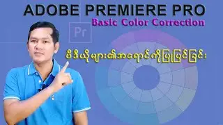Basic Color Correction (Adobe Premiere Pro)