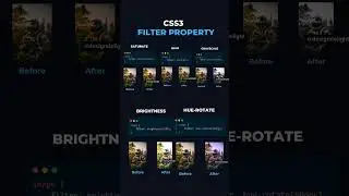 CSS3 Filter Property 