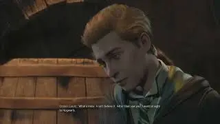 Hogwarts Legacy || In the Shadow of Fate
