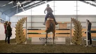 Chalmershindret 2017 - The Chalmers Fence 2017