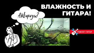 Влажность и гитара