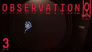 Неожиданные гости | Observation