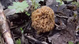 Запахло шапкой!!!