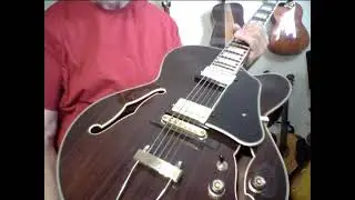 Rare Limited Run Rosewood Ibanez AG 95RW high end tone stunning $1799 NOW $999