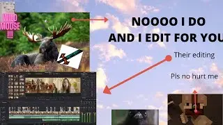 I found a wild moose and it went on my laptop and made the greatest video of all time