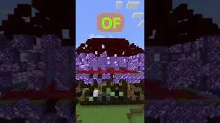 Minecraft Can You Spot Them