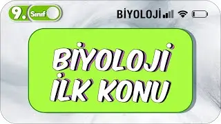 Canlıların Ortak Özellikleri | Özet Anlatım  
