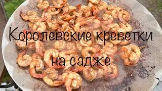 Королевские креветки на садже