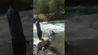 Қариб дар Дарё Мерафт!