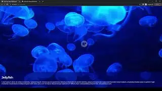 How to Create a Fullscreen Video Background with Play/Pause Buttons HTML, CSS, and JS #webdesign