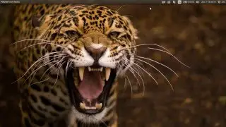 Linux Mint 17.3 Rosa РЕЛИЗ! Бэкап системы в Linux Mint, энергосберегающие программы.