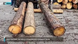 Pescantina, al via il Congresso Legno Italia