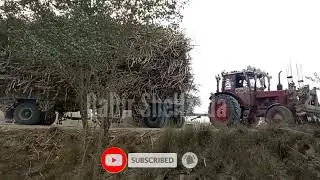 Tractor pulling Trolly || Three tractors pulling heavy loaded trolly