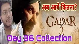 Gadar 2 Day 36 Collection | Gadar 2 Day 36 Box Office Collection | Gadar 2 Worldwide total Overseas