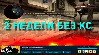 КОГДА ДВЕ НЕДЕЛИ НЕ ИГРАЛ В CS:GO❤(CS:GO МОНТАЖ)