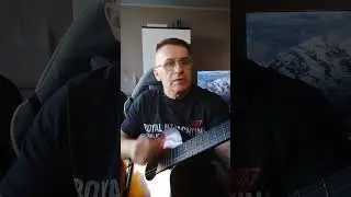 Звёздная ночь 