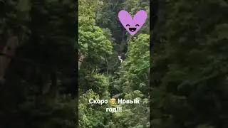18 декабря 2022 г.