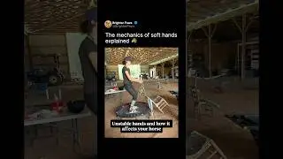 The mechanics of soft hands explained 🐴