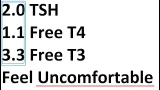 What does TSH 2.0 free T4 1.1 Free T3 is 3.3 mean I still feel uncomfortable?