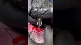 Best Needle Cartridges Needlejig