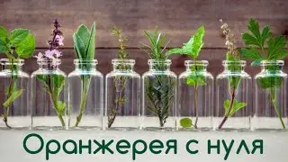 Как создается оранжерея