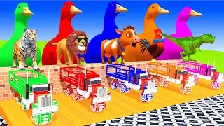 5 Giant Duck Cartoon,Tiger,Cow,Zebra,Chicken,Gorilla,Dog,Cat Wild Animals Crossing Fountain 2023