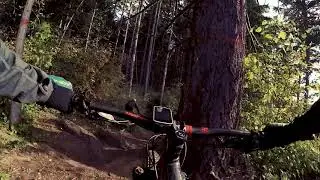 MTB WhyPass, Oregon October 2017
