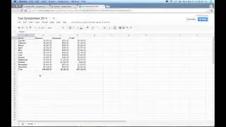 What is a Google Spreadsheet?