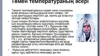 адам ағзасына жоғары жане томен температураның әсері туралы түсінік