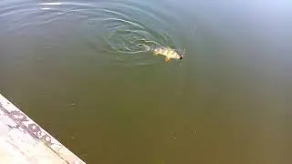 VID 20200628 120714