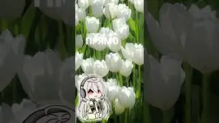Прямо в кокоро💘#врек поддержи мой тгк своей подпиской https://t.me/AlenuaFAN🦋