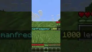 How to use the /xp command in Minecraft! ✨ 
